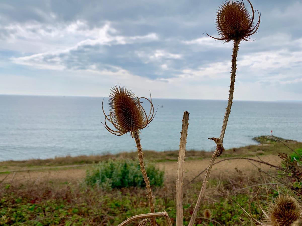 Shorefield Country Park, Where The New Forest Meets The Sea, Passes For All Entertainment Included Milford on Sea Exterior foto